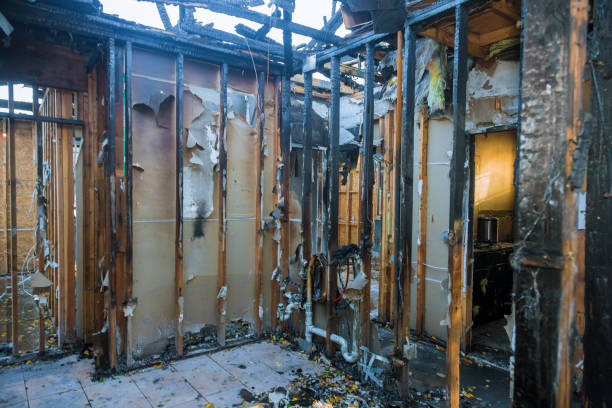 Professional Fire Damage Removal technician working in Harleysville, PA